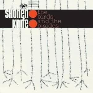 The Birds And The B-Sides