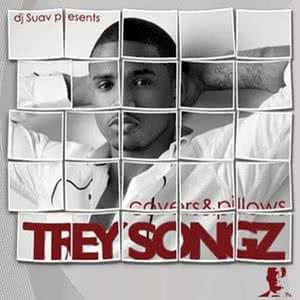 Covers & Pillows