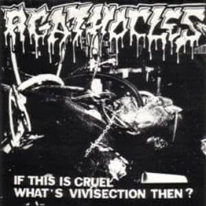 If This Is Cruel What's Vivisection Then?