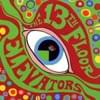 The Psychedelic Sounds of the 13th Floor Elevators