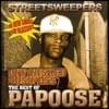 Unfinished Business: Best Of Papoose