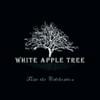 The Apple Tree