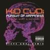 Pursuit Of Happiness (Steve Aoki Remix)