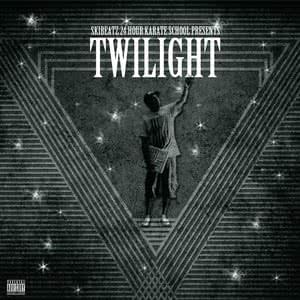 24 Hour Karate School Presents Twilight