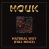 Natural Way (Full Noize)