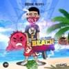 Beach Bandits
