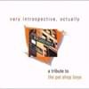 Very Introspective, Actually: A Tribute To The Pet Shop Boys