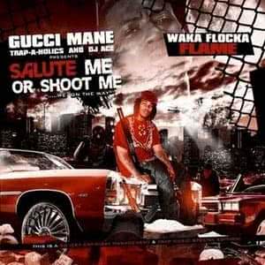 Salute Me or Shoot Me