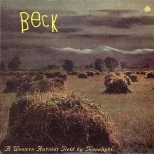 A Western Harvest Field By Moonlight