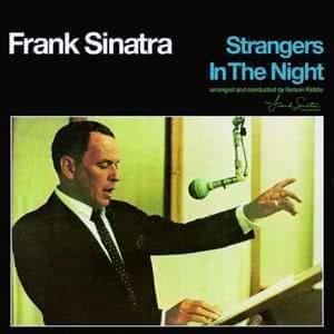 Strangers In The Night