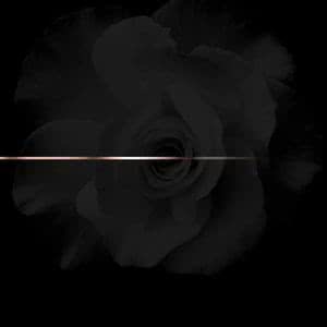 RoseGold