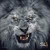 Slum Lord