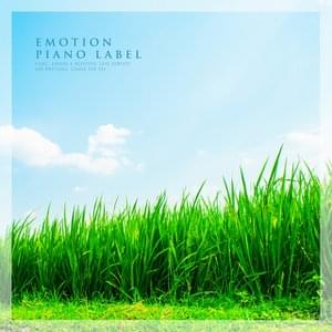 Happy Afternoon Meditation Piano Collection