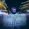 Welcome To Palm City