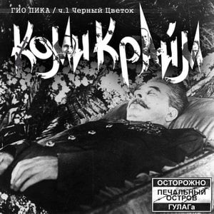 Чёрный цветок