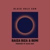 Black Hole Sun