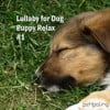 Lullaby for Dog, Puppy Relax Vol.1