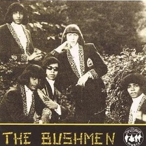 The Bushmen