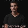 Sensory Overload