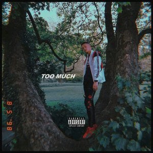 Too Much