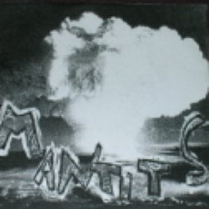Mantits