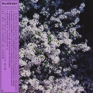 Flowers on the Moon
