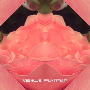 Venus FlyTrap