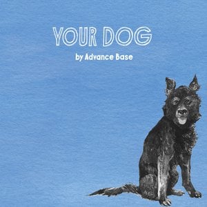 Your Dog