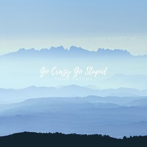 Go Crazy Go Stupid