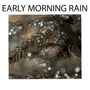 Early Morning Rain