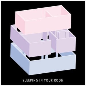 Sleeping in Your Room