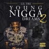 Young Nigga Dreams, Vol. 2