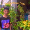 The Sunflower Shop