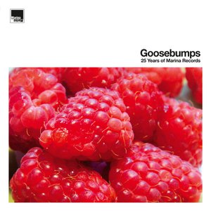 Goosebumps – 25 Years of Marina Records Goosebumps – 25 Years of Marina Records