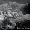 Frozen Alive