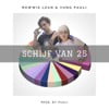 Schijf van 25