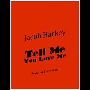 Tell Me You Love Me (feat. Firekrakker)