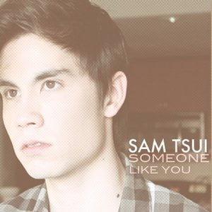 Someone Like You