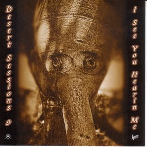The Desert Sessions Volume 9 & 10