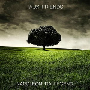 Faux Friends