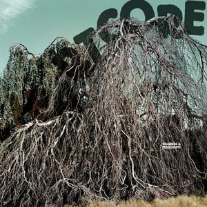 We Hold Each Other Song Lyrics By Wildbirds Peacedrums