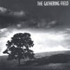 The Gathering Field