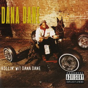 Rollin' Wit Dana Dane