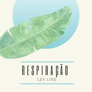 Respiração