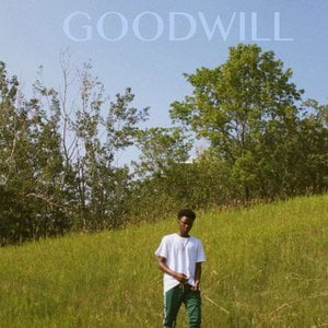 Goodwill