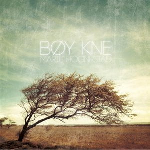 Bøy kne