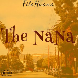 The NaNa