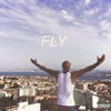 Fly