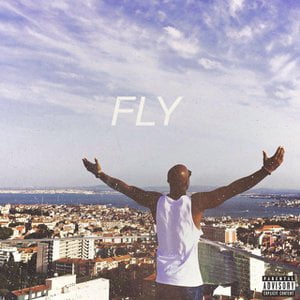 Fly