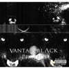 Vantablack Project